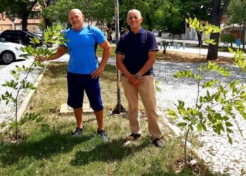 O poder do exemplo – cresce o número de plantadores de árvores em Paulo Afonso