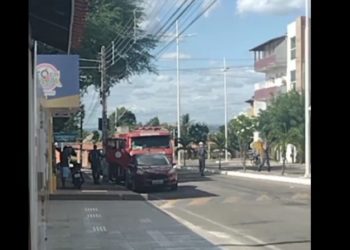 Homem de 70 anos morre após sofrer picadas de abelhas em Paulo Afonso