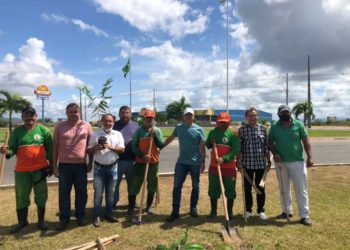 Projeto Arboriza Paulo Afonso planta mudas na rotatória de entrada da cidade