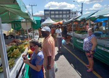 Agricultores familiares de Paulo Afonso recebem nova Feira e mudas de palma forrageira durante Caravana de Ater