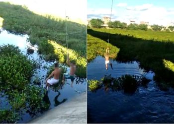 Impressionante! ‘Baronesas’ voltam a invadir o lago da PA IV em Paulo Afonso; adolescentes se arriscam ao pular no local