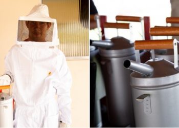 Paulo Afonso: apicultores são beneficiados com equipamentos de proteção para coleta do mel