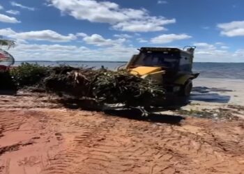 Glória-BA: Prefeitura retira baronesas no Balneário Canto das Águas