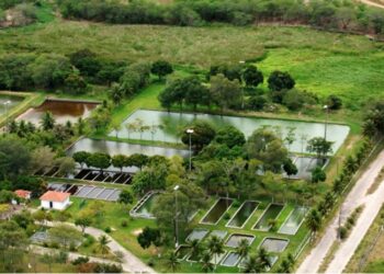 Chesf aprova programa de preservação das espécies de peixes em Paulo Afonso