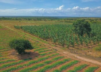 Prefeitura de Glória (BA) dá inicio ao Programa Municipal SEMEAR 2022