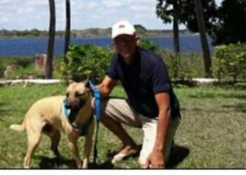 Otta, fator de excelência para os meus artigos (Francisco Nery Júnior)