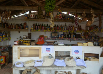 CRÔNICA – O armazém do espanhol da minha infância (Francisco Nery Júnior)