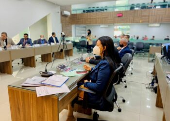 Evinha traz realizações do mandato no 1º semestre: entrega de trator, empreendedorismo feminino e fiscalizações