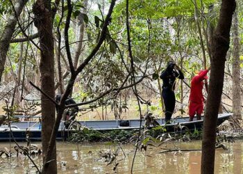 Suspeitos confessam morte de Dom e Bruno e dizem que corpos foram queimados e jogados em vala