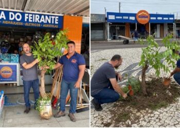 CRÔNICA – De Tite, o técnico, e de Luiz de Deus, o prefeito (Francisco Nery Júnior)