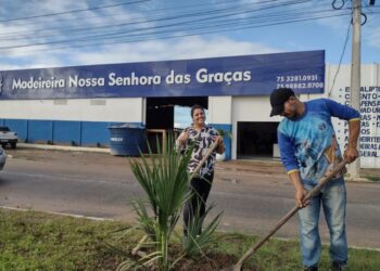 Belo exemplo de uma madeireira  – Por Francisco Nery Júnior   