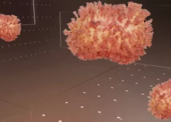 Bahia confirma três casos de varíola dos macacos no interior; Salvador tem nove infectados pela doença