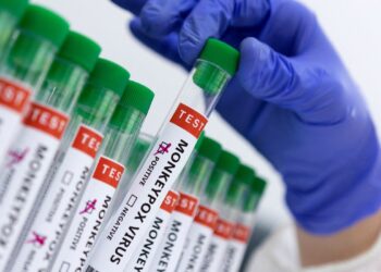 Bahia registra cinco novos casos de Monkeypox (varíola dos macacos)