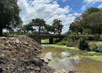Limpeza dos lagos: equipe prefeitura trabalha nas imediações do Balneário, conhecido como Verdinho