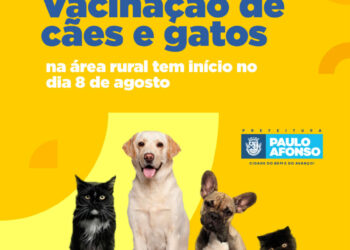 Vacinação antirrábica de cães e gatos na área rural de PA tem início nesta segunda-feira (8)