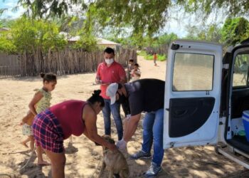 Prefeitura de Glória-BA continua com a campanha de vacinação antirrábica até dia 12 de agosto