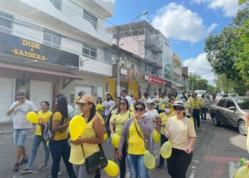 Apitaço contra a Dengue mobiliza população para os cuidados com o mosquito Aedes Aegypti