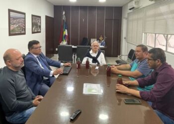 Secretaria de Meio Ambiente estuda projeto de transformar baronesas em biofertilizante