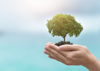 CRÔNICA – Um motoboy no Dia da Árvore (Francisco Nery Júnior)