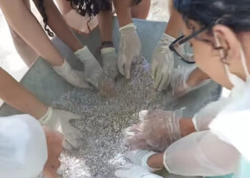 Estudantes da 1ª série do ensino médio da Coopex – Colégio Boa Ideia produzem tijolos ecológicos