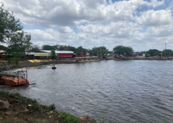 Chesf diz que não é a causadora da proliferação das baronesas e que não é seu papel removê-las