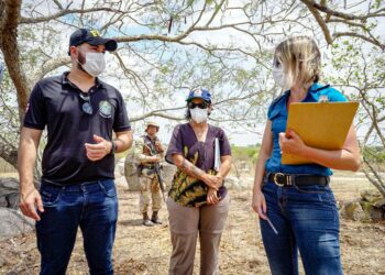 Crime ambiental: FPI encontra irregularidades em cerâmicas e minerações na região. Houve aplicação de multas e interdições