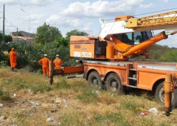 Bombeiros usam guindaste para resgatar égua que caiu no cânion do Rio São Francisco; animal foi sacrificado