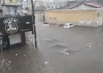 Paulo Afonso registra 70mm de chuva em apenas uma hora e tem enxurrada, alagamentos e quedas de árvore