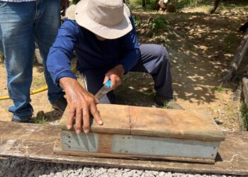 Incentivo para apicultores coloca Paulo Afonso como um dos melhores produtores de mel do país da espécie Jandaíra