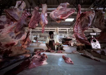 Sinebahia oferece vagas para auxiliar de açougue, estoquista e outras em Paulo Afonso; veja