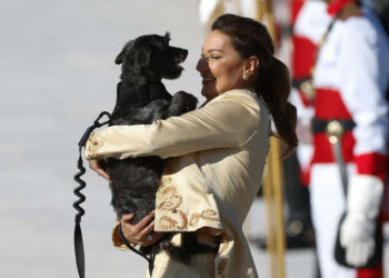 CRÔNICA – Posse de Lula – Um cachorro sobe a rampa do Planalto (Francisco Nery Júnior)