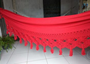 José da rede – Confiar em aposentadoria no Brasil (Francisco Nery Júnior)    