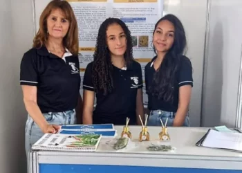 Jovens baianas criam aromatizador natural que combate muriçocas