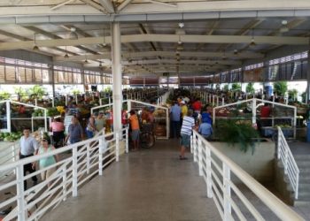 Saiba como será o funcionamento das feiras livres de Paulo Afonso durante a Semana Santa