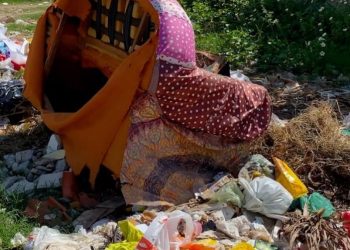 “Não conseguem sequer ter uma frequência na coleta de lixo e entulhos no BTN”, afirma Mário Galinho