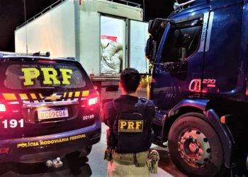 27 toneladas de camarão são apreendidas no norte da Bahia; carga não tinha nota fiscal