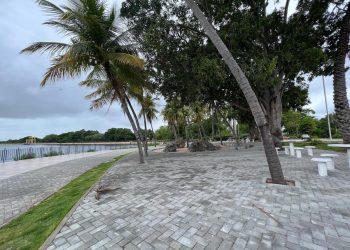 CRÔNICA – O “mas” de um irmão (Francisco Nery Júnior)