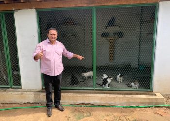 Vereador Valmir Rocha anuncia verba federal de R$ 300 mil; recurso deve ser destinado para proteção dos animais de rua