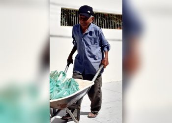 Um velhinho trabalhador – 88 anos de trabalho e resistência (Francisco Nery Júnior)