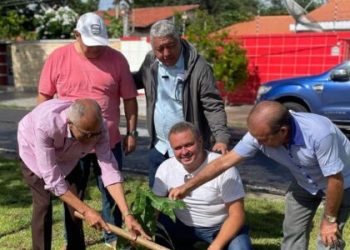 Prefeitura de Paulo Afonso plantou quase 400 árvores no período de um ano