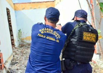 Guardas municipais integram sistema de segurança pública, decide STF