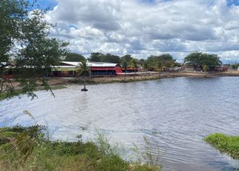 Uma semana após o início da remoção das baronesas, limpeza das águas da Prainha está bem avançada.