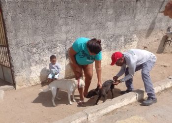 Primeira semana da Campanha Antirrábica vacina cerca de 1.400 animais em 17 povoados