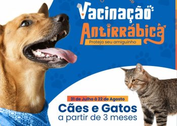 Glória-BA: campanha de vacinação antirrábica em cães e gatos termina nesta terça, dia 22 de agosto