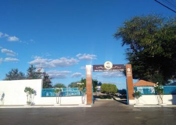 CRÔNICA – Um favor da morte (Francisco Nery Júnior)