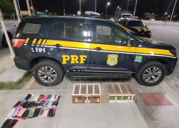 PRF resgata cerca de 300 aves transportadas de forma precária em Paulo Afonso (BA)