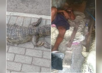 Morador de rua mata jacaré no Balneário e dorme ao lado dele em Paulo Afonso, BA