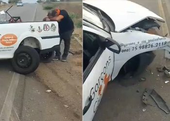 Pequeno empresário de Paulo Afonso perde veículo da empresa após acidente provocado por dois jumentos na AL-220: “Deus dará condições de conquistar outro”