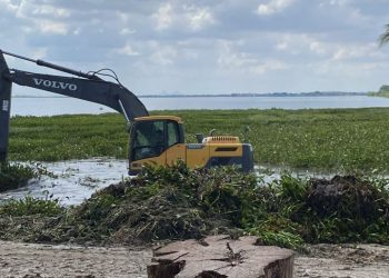 “Enxugando gelo” – A batalha contra as baronesas no Balneário Prainha recomeçou!