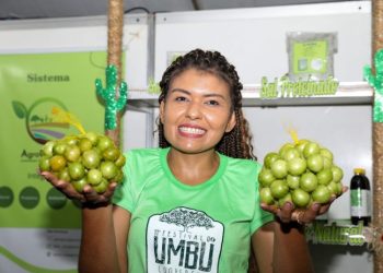 Festival do Umbu de Uauá abre espaço para comercialização de produtos da agricultura familiar baiana